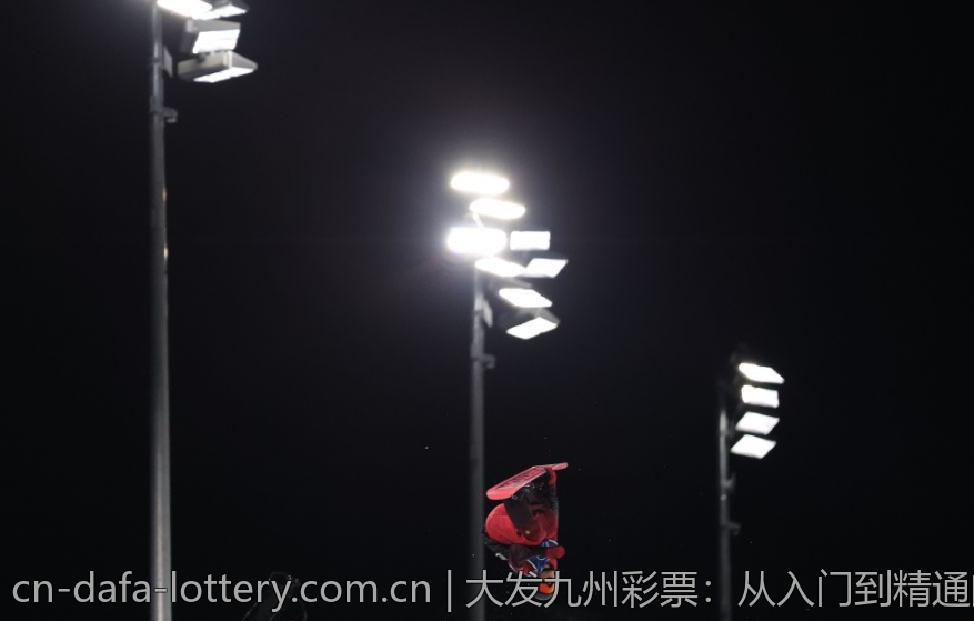 大发九州彩票：从入门到精通的指南